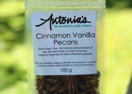 Cinnamon vanilla pecans