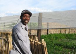 Reeds Organic - Shadreck Mhlanga