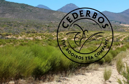 Cederbos - The Rooibos Tea Company