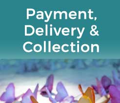 Payment, Delivery & Collection