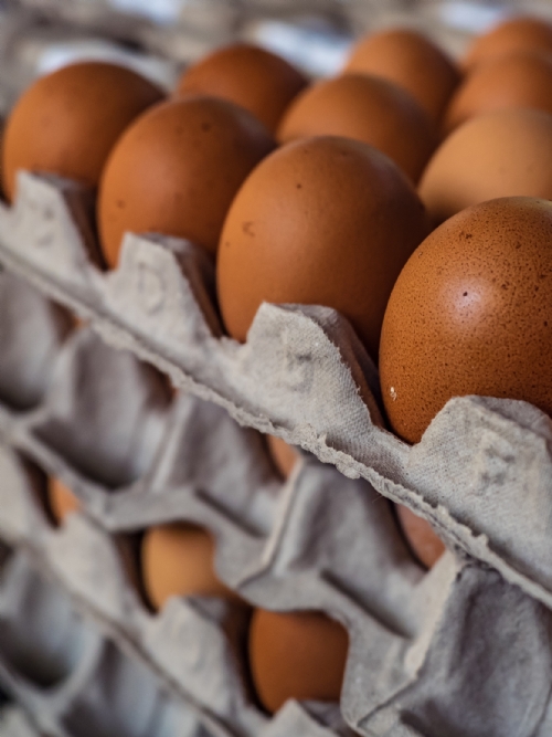 Free Range Eggs 18