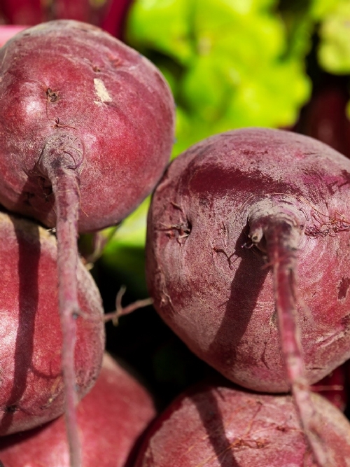 Beetroot