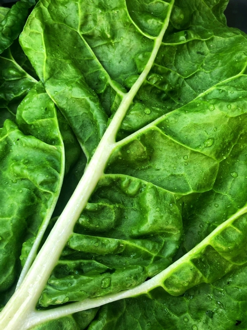 Spinach, bunch