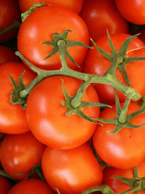 Tomatoes, 1kg