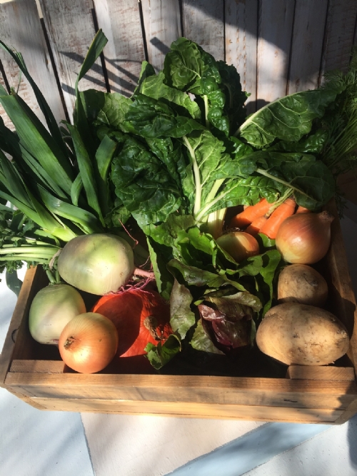 Donate A Vegetable Box