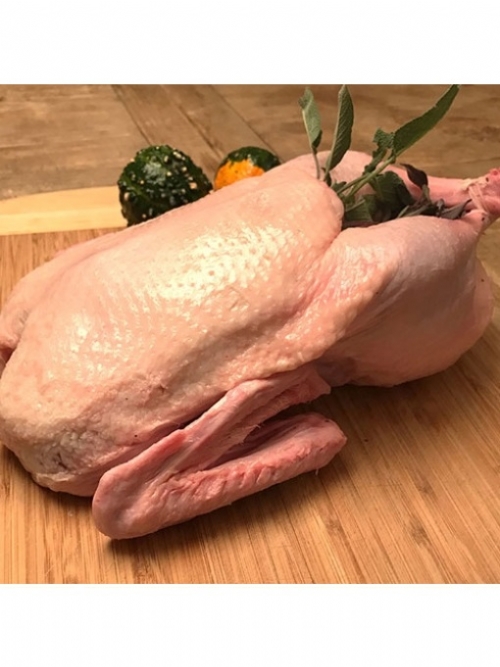 Duck, whole