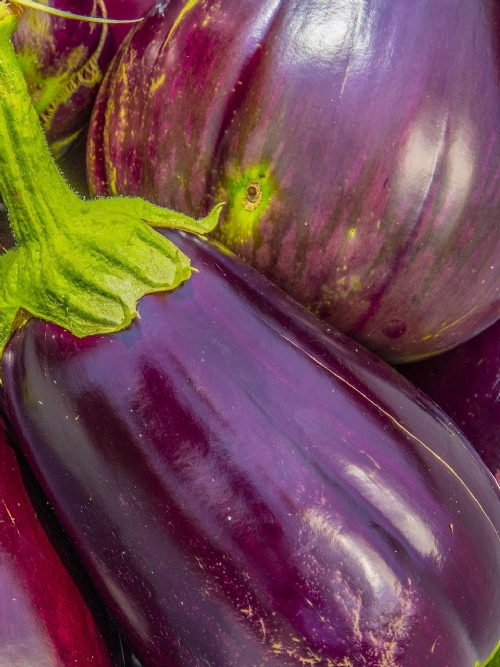 Brinjals, Pack