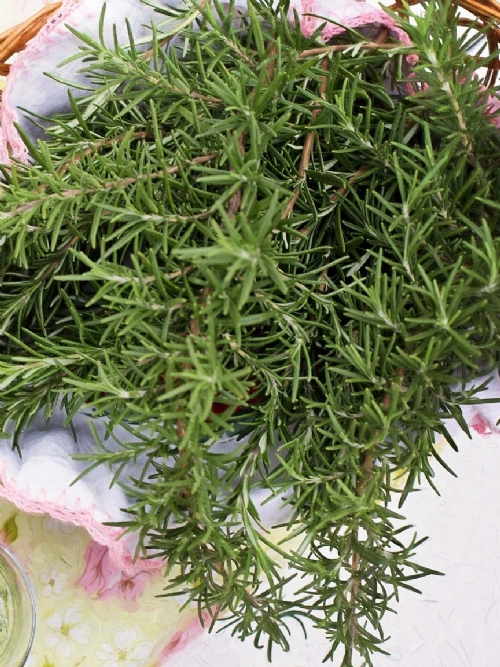 Rosemary, 30g