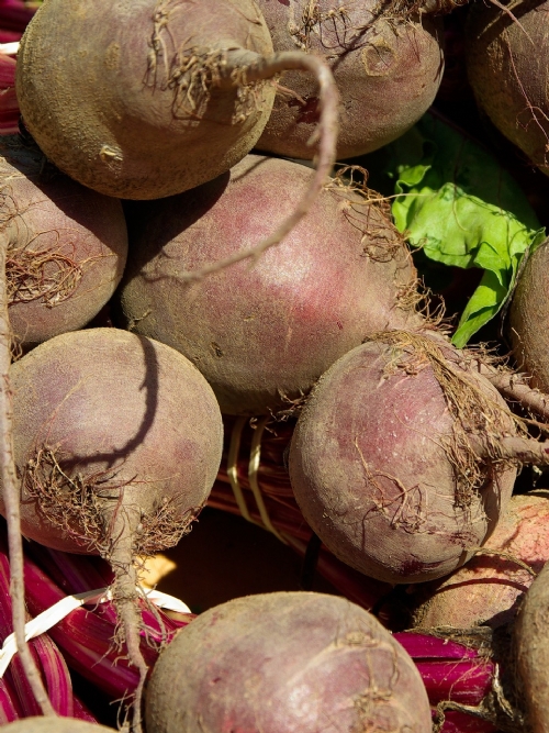 Beetroot, 10kg