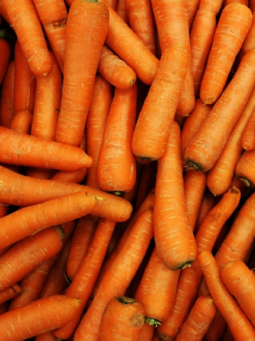 Carrots, 10kg