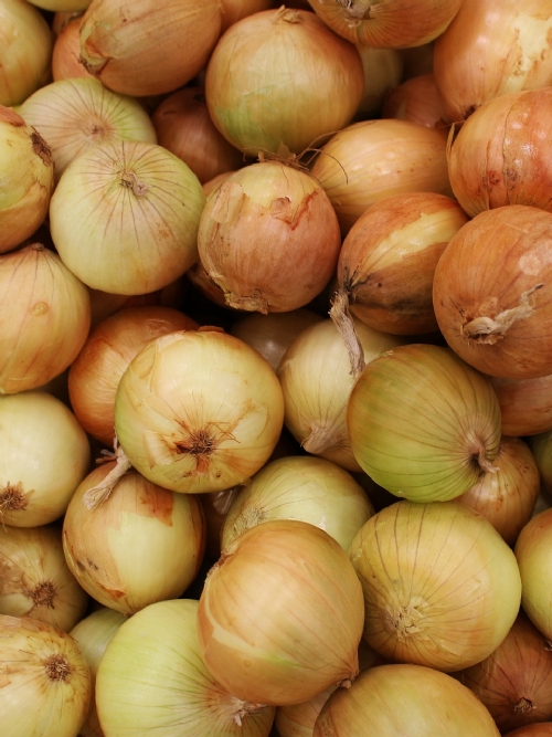 Onions Class 1, 10kg