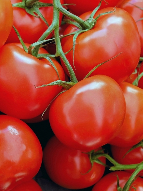 Tomatoes, 6kg