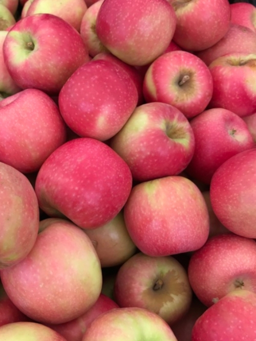 Apples - Crispy Pink, 8x1.5kg