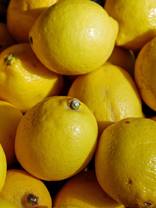 Lemons Class 1, 15kg