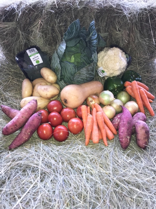 Family Veggie Box