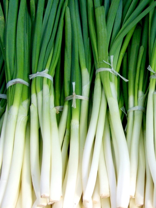 Spring Onions