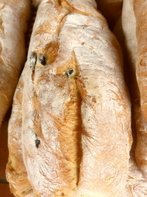 French Olive Ciabatta