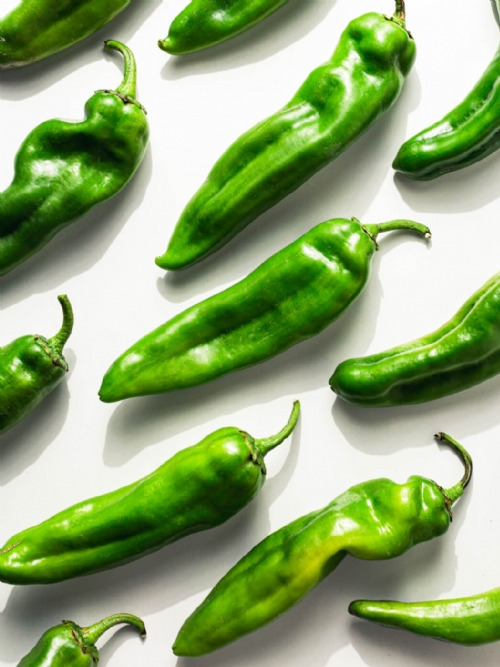 Green chillies, pack