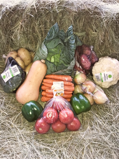 Family Veggie Box