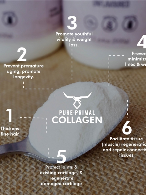 Primal Protein Hydrolysed Collagen