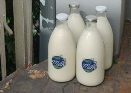 Bottled milk